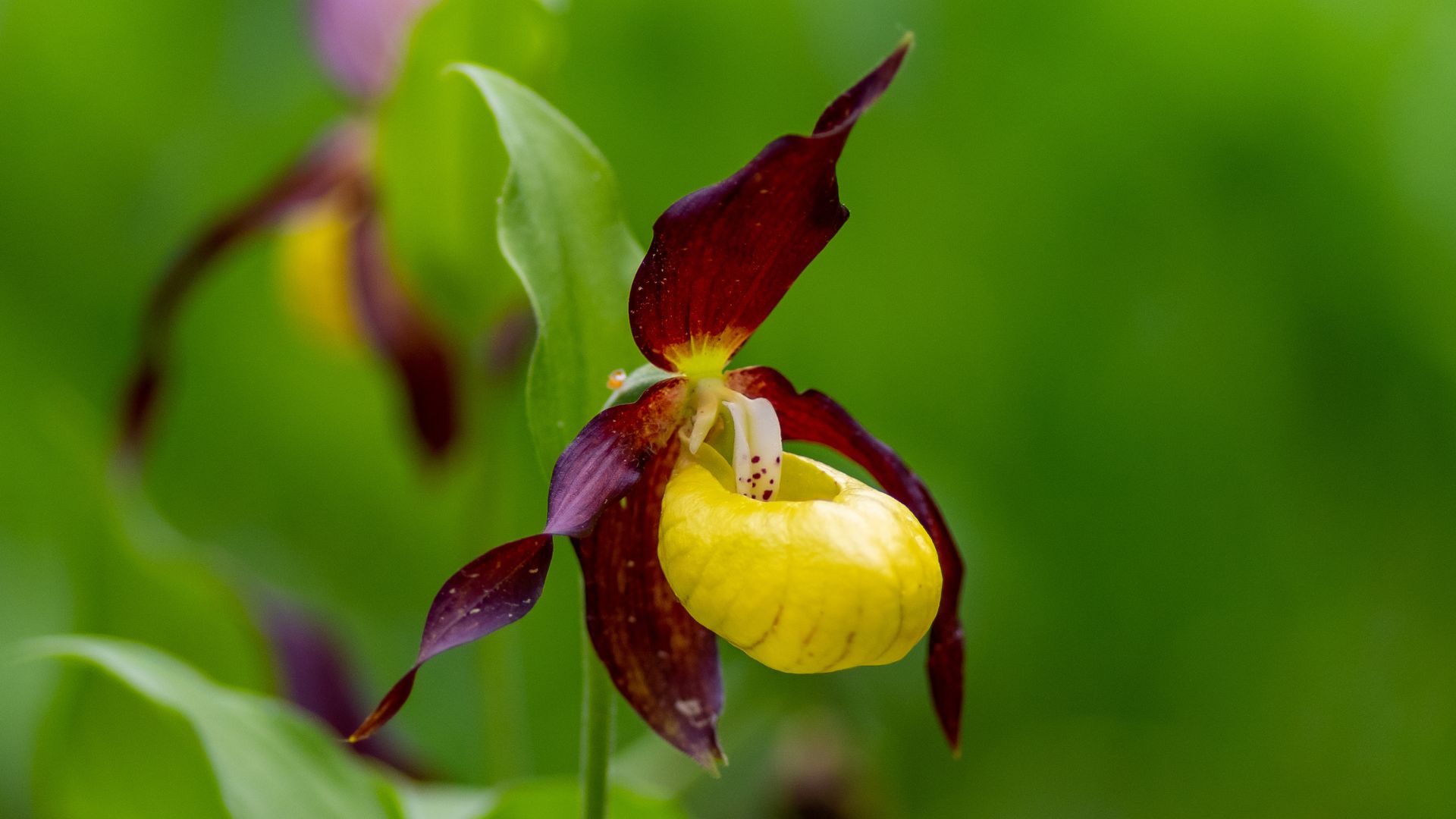 Gemeinde Vorderhornbach Gemeinde Vorderhornbach